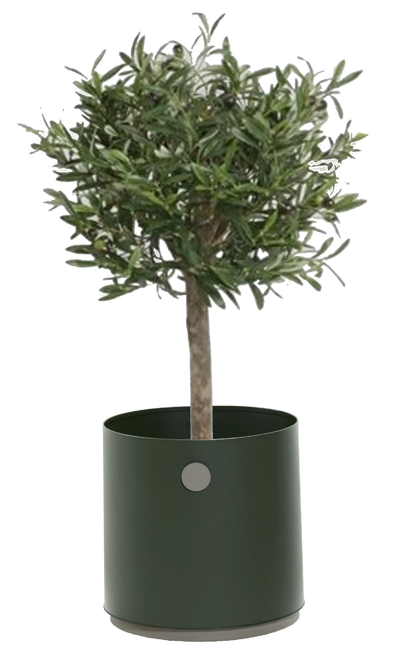 Grow Planter plantenbak Small Outdoor Cane-Line