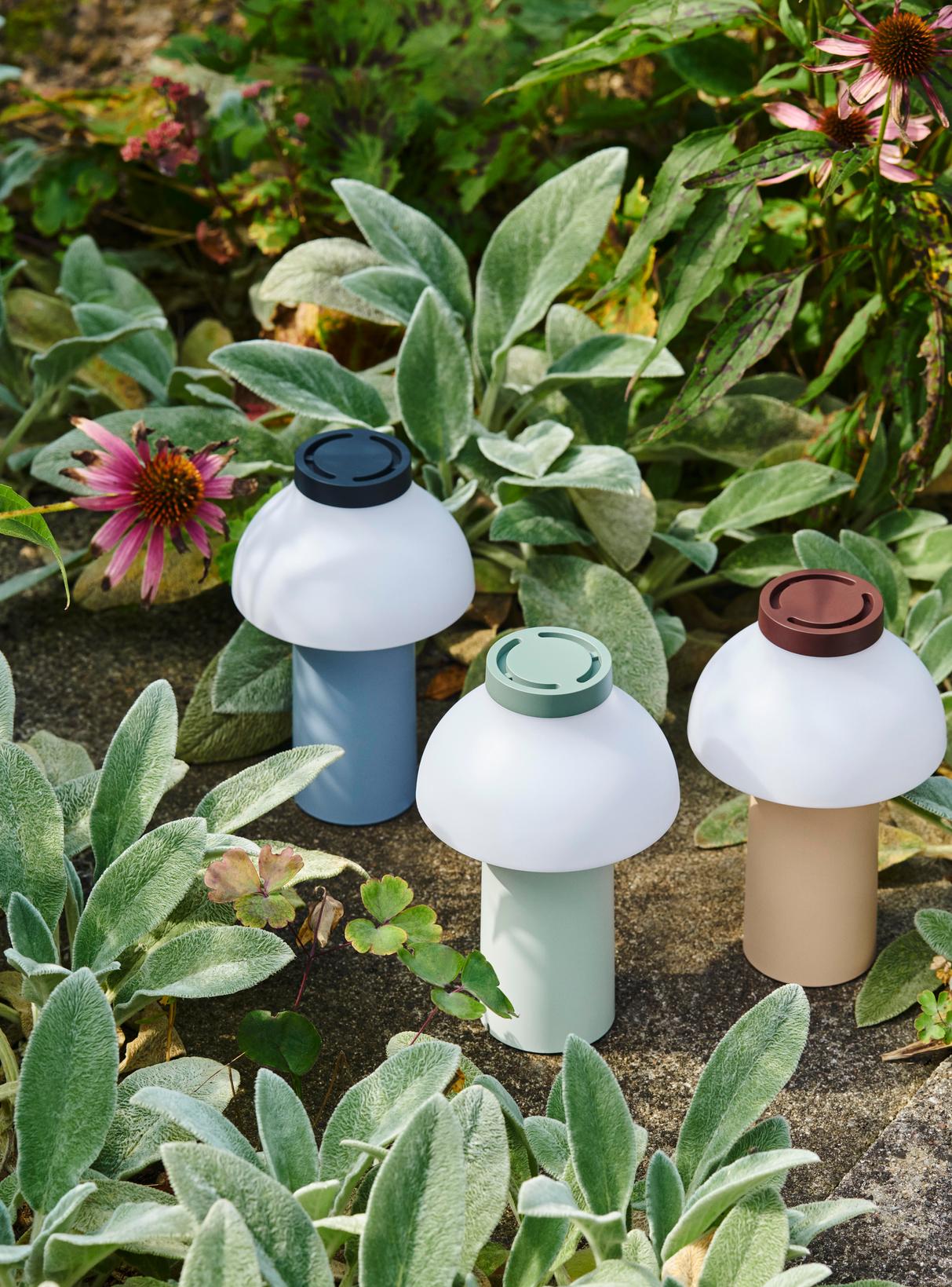 Drei PC Portable Tischleuchten von Hay in verschiedenen Farben im Garten zwischen Pflanzen.