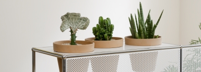 USM Plantenwerelden