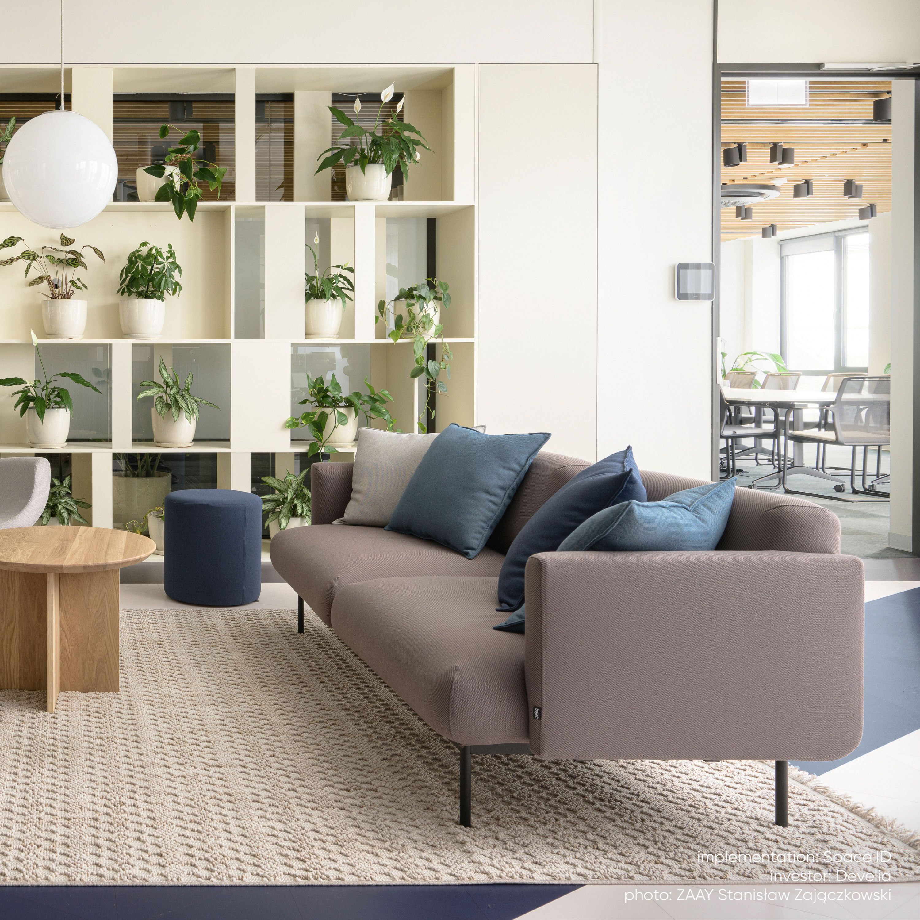 Bejot fora FR 422 Sofa 2-Sitzer in Braun mit blauen Kissen in modernem Büro.