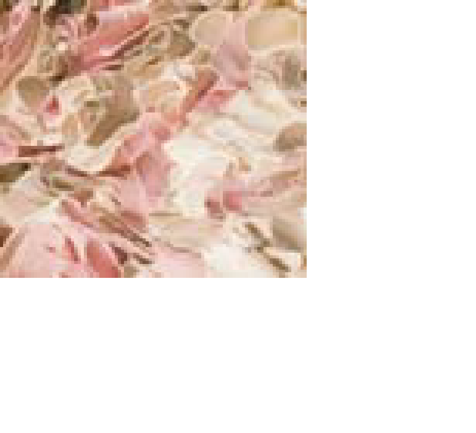 Bloemen wit, beige, zalmrood / rug beige