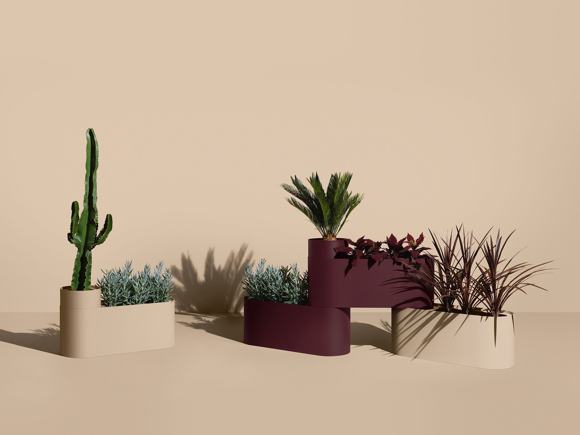 Plant Here Pflanzenboxen mit Kakteen und Pflanzen in modernem Design für den Innen- und Außenbereich.