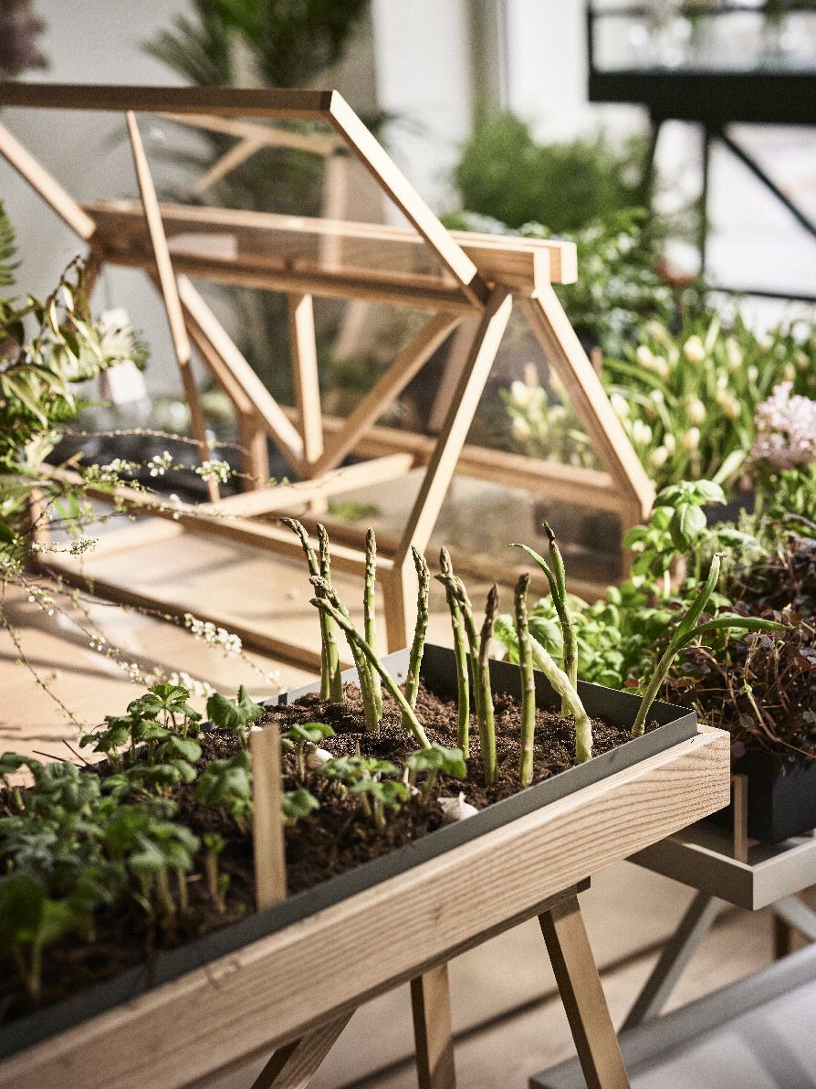 Greenhouse-kas Design House Stockholm donker essenhout