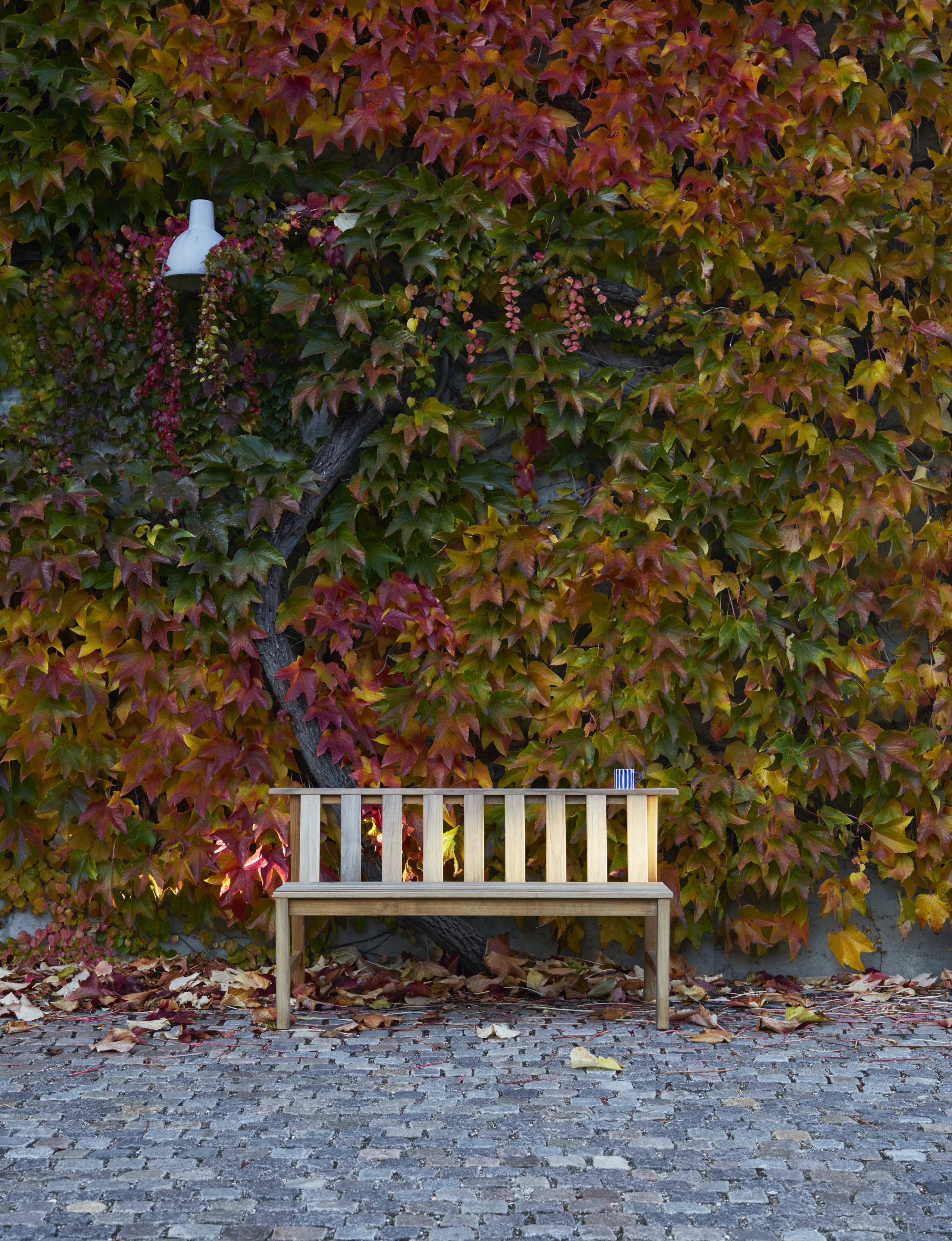 Cadence Bank Teak Gartenbank von Skagerak by Fritz Hansen vor einer Wand mit buntem Herbstlaub.