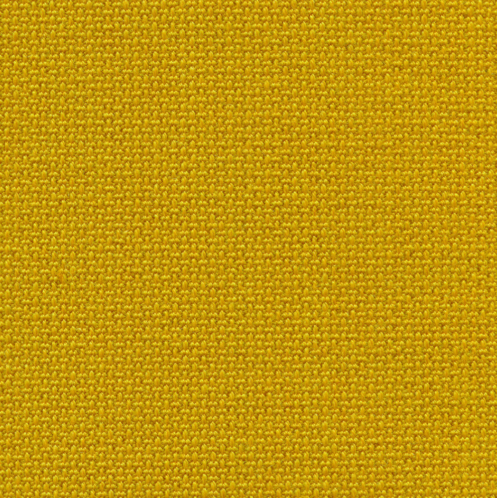 Volo canola geel