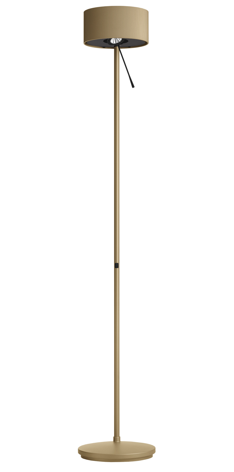 Diogenes Stehleuchte in Goldgrau: Moderne LED-Lampe mit zylindrischem Schirm für Wohnzimmer und Büro.