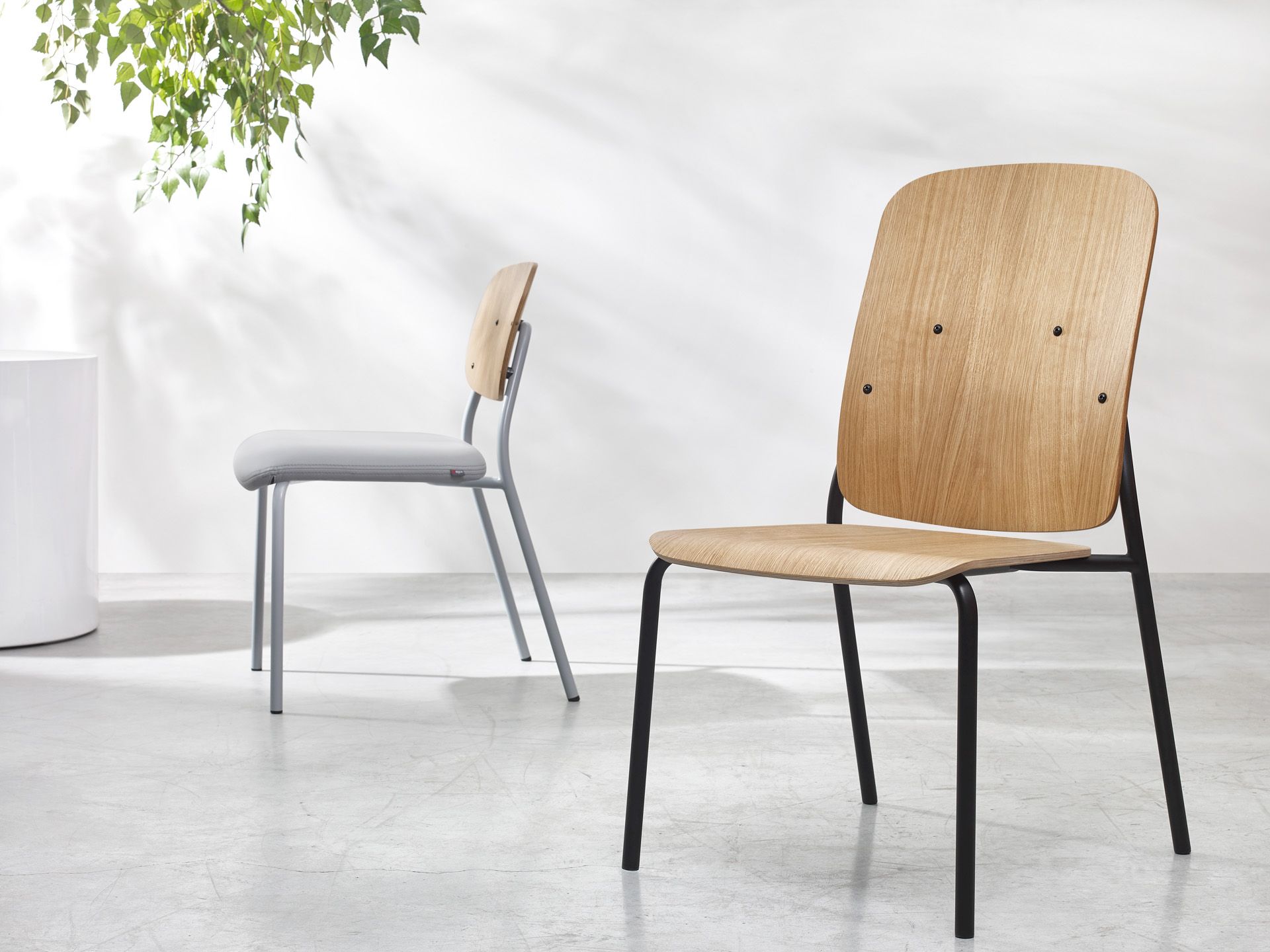 hens HS 215 Stuhl von Bejot, ein Konferenzstuhl mit Holzschale und schwarzem Metallgestell im modernen Design.
