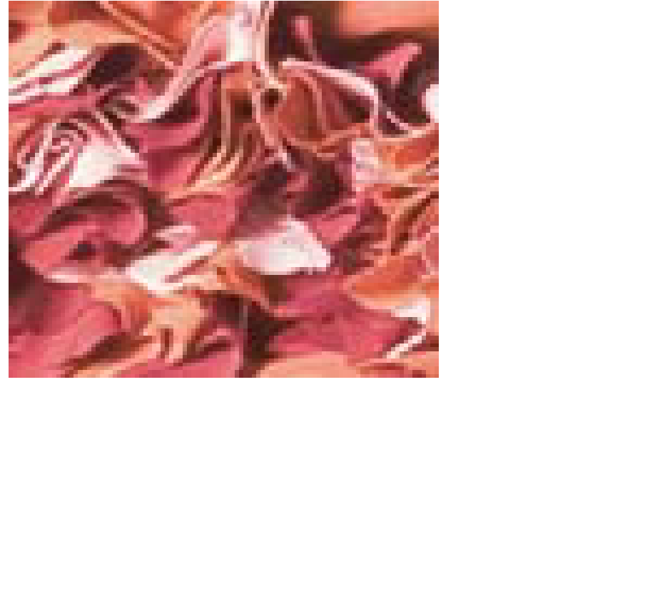Bloemen oudroze, oranje / achterkant oudroze
