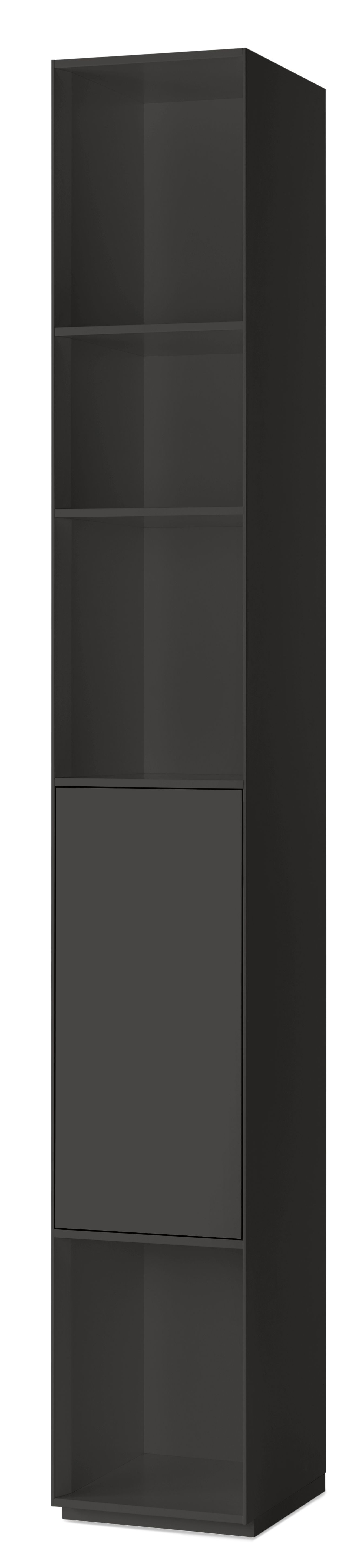 Piure Nex Pur Regal in Anthrazit mit Tür und Fachboden für modernes Wohnen.