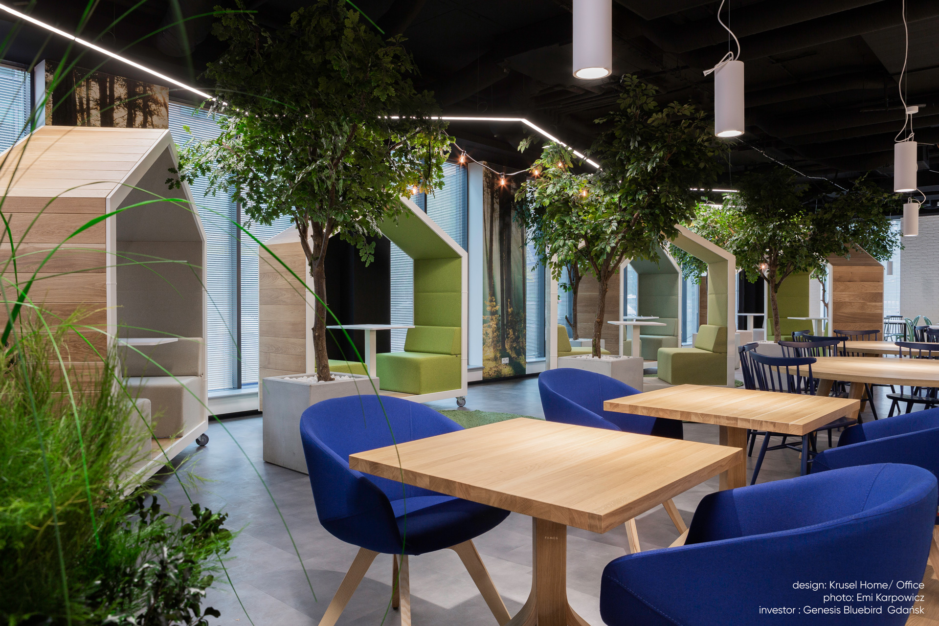 Bürogestaltung mit Bejot treehouse TH 2 Akustikmöbeln für zwei Personen und blauen Stühlen an Holztischen.