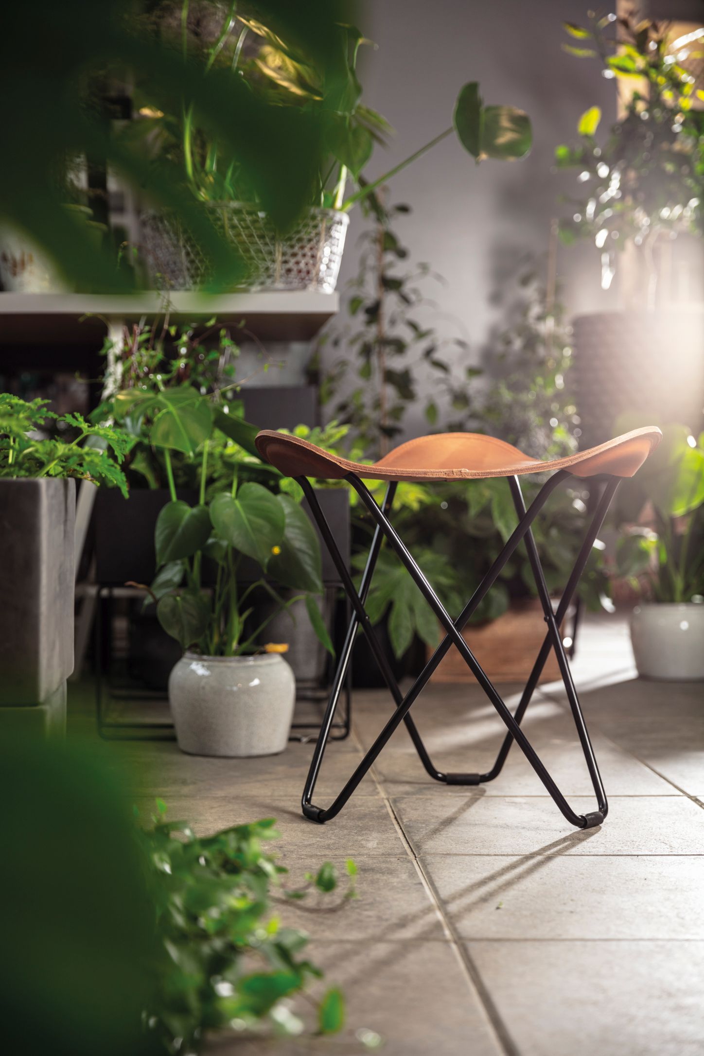 Brauner Lederhocker mit schwarzem Metallgestell, umgeben von Zimmerpflanzen, ideal für Wohnzimmer oder Wintergarten.