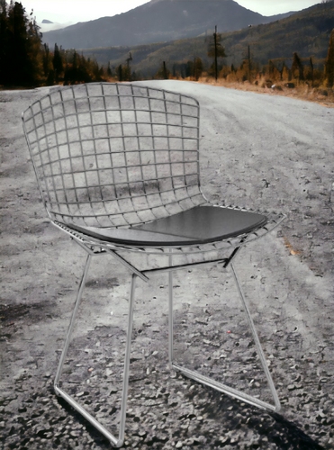 Bertoia-stoel OUTDOOR Knoll International Quick-Ship