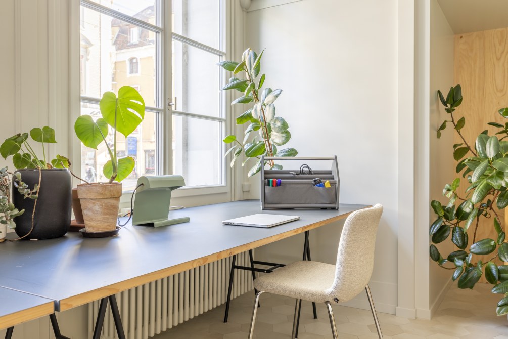 Beiger Vitra Hal Soft Tube Stuhl am Schreibtisch in einem hellen, modernen Büro mit Pflanzen.
