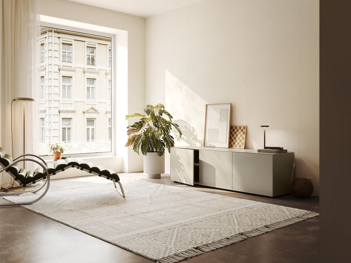 Modernes Wohnzimmer mit Piure Nex Pur Box Board in Grau, Teppich, Zimmerpflanze und Designermöbeln.