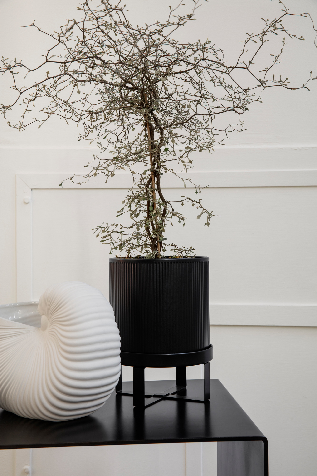 Schwarze Ferm Living Vase mit Pflanze und dekorativer Muschel auf einem schwarzen Tisch.