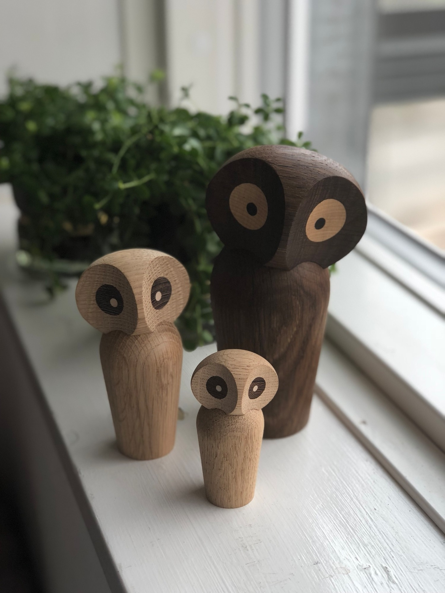 Drei Architectmade Holz Eulen Figuren in verschiedenen Größen auf einer Fensterbank, Dekoration.
