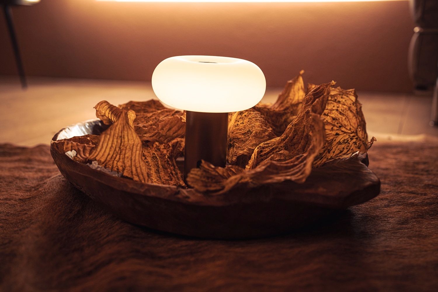 Oto Portable Oplaadbare Lamp Tafellamp Belux