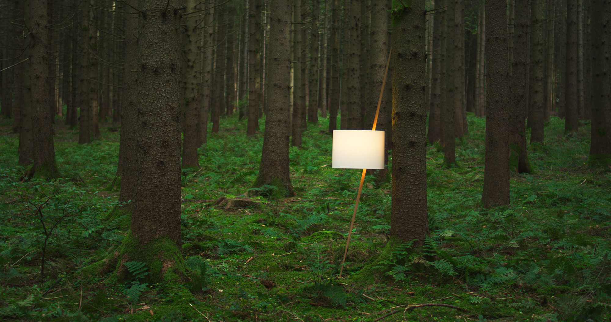 Luca Lean Anlehnleuchte von Maigrau im Wald: Moderne Stehleuchte mit weißem Lampenschirm und Holzgestell.