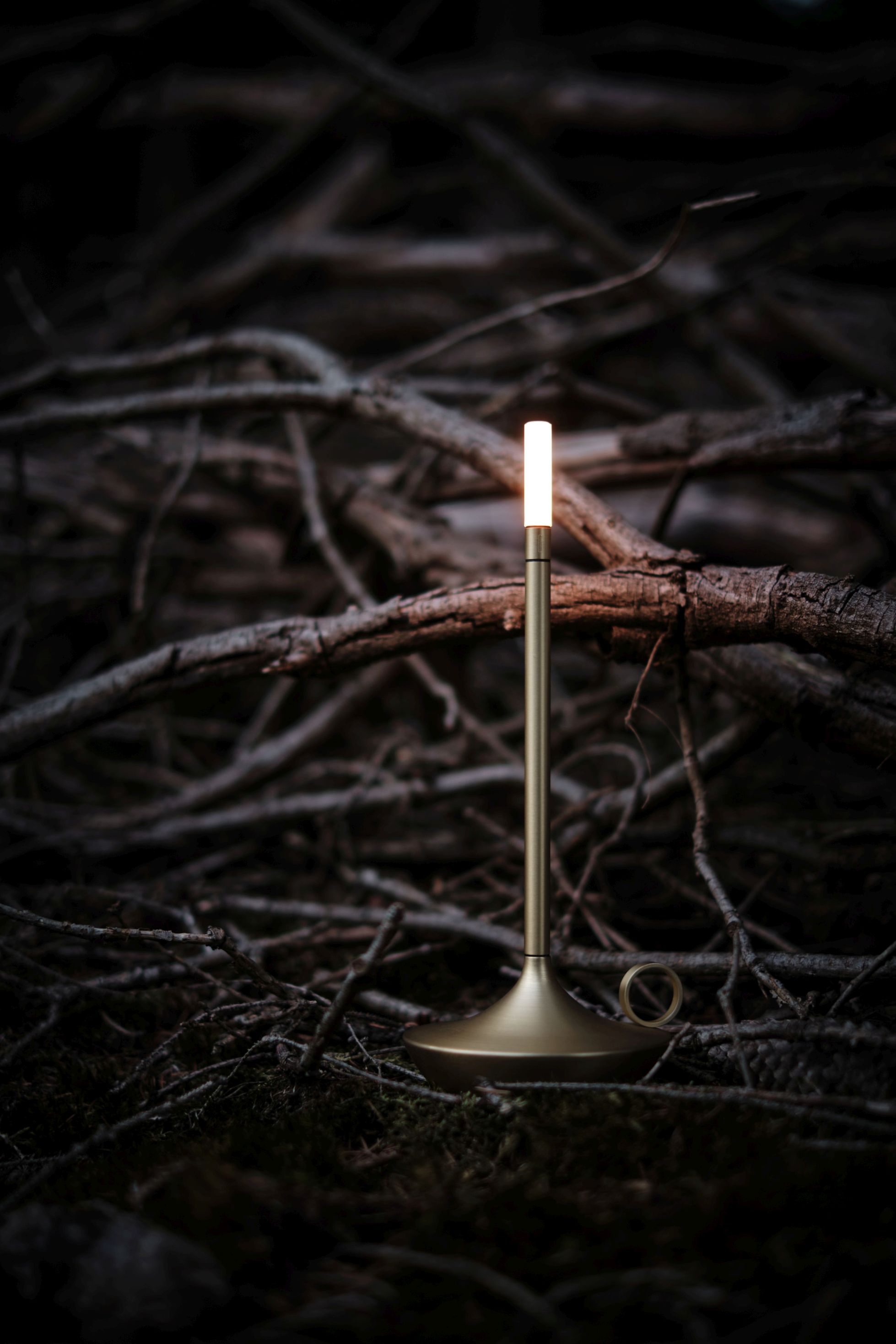 Goldene LED-Tischleuchte mit Akku im Freien, umgeben von Ästen und Moos. Moderne, tragbare Lampe.