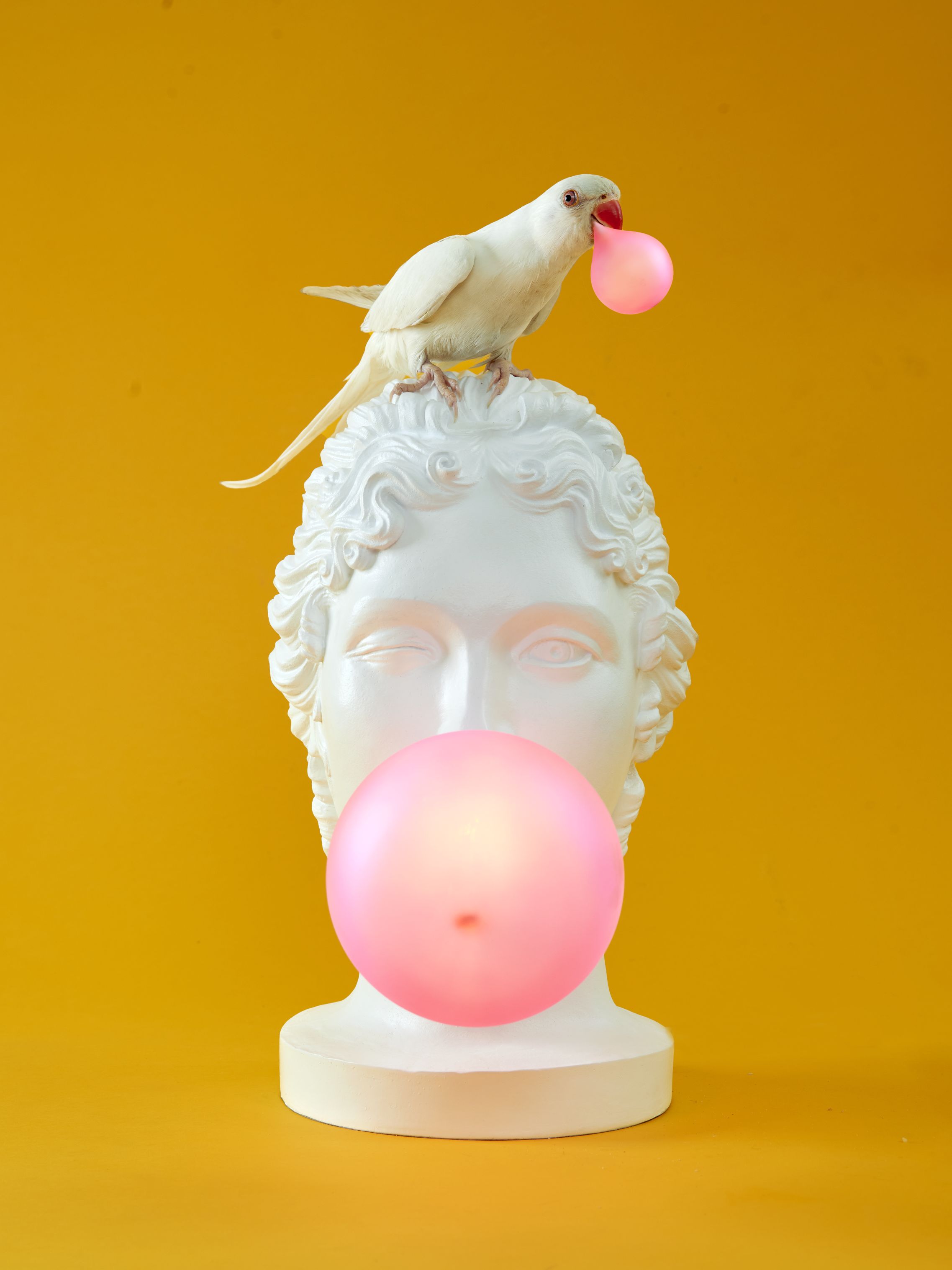 Nahaufnahme der Grace Lamp Tischleuchte von Seletti mit Vogel und rosa Ballon vor gelbem Hintergrund.