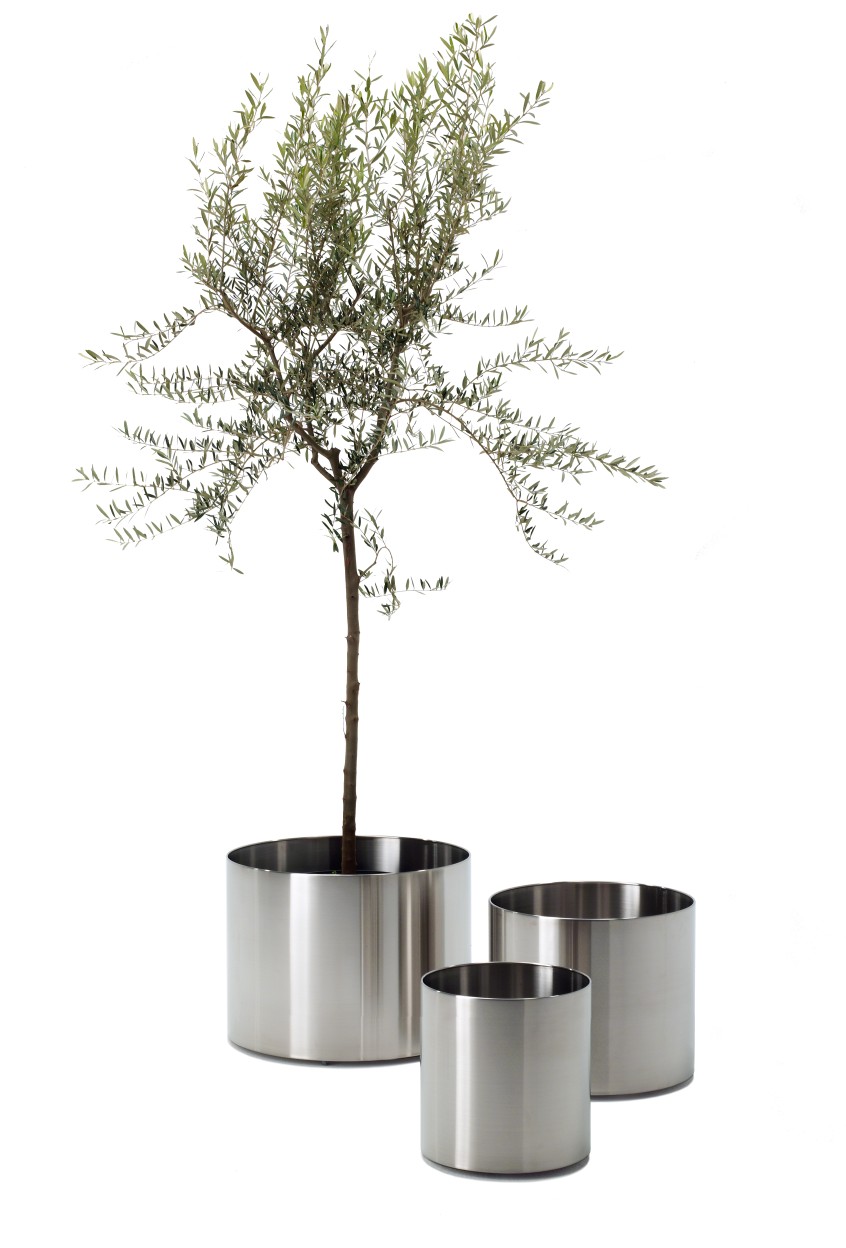 Nox Flora Blumentopf auf Rollen von Rexite, Edelstahl Pflanzgefäß mit Olivenbaum und zwei kleineren Übertöpfen.