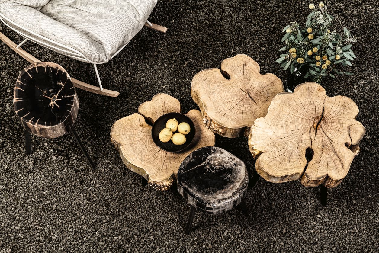 BC 05 Stomp Outdoor Couchtisch und Beistelltische von Janua aus Baumscheiben und versteinertem Holz.