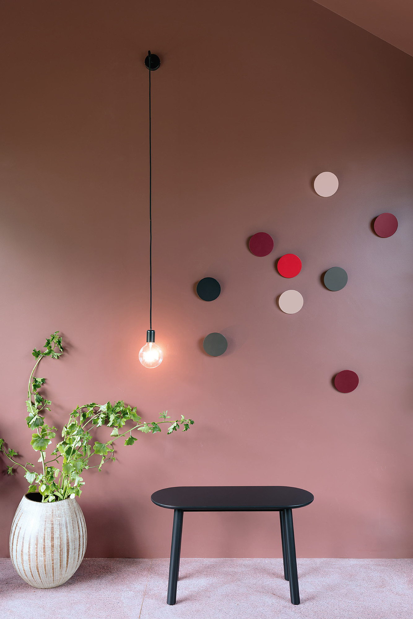 Wand mit Schönbuch Disk Wandhaken in verschiedenen Farben, Lampe, Tisch und Pflanze.