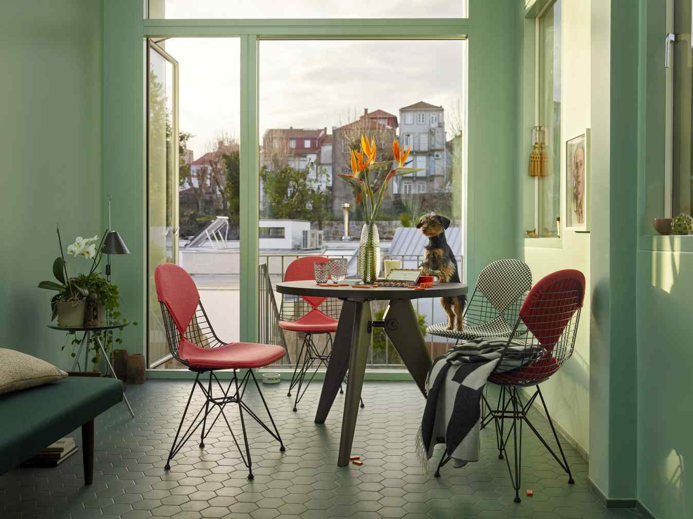 Vitra Gueridon Tisch mit Stühlen in modernem Wohnraum, ein Hund sitzt auf einem Stuhl.