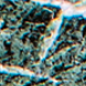 Verdi Alpi (serpentiniet)