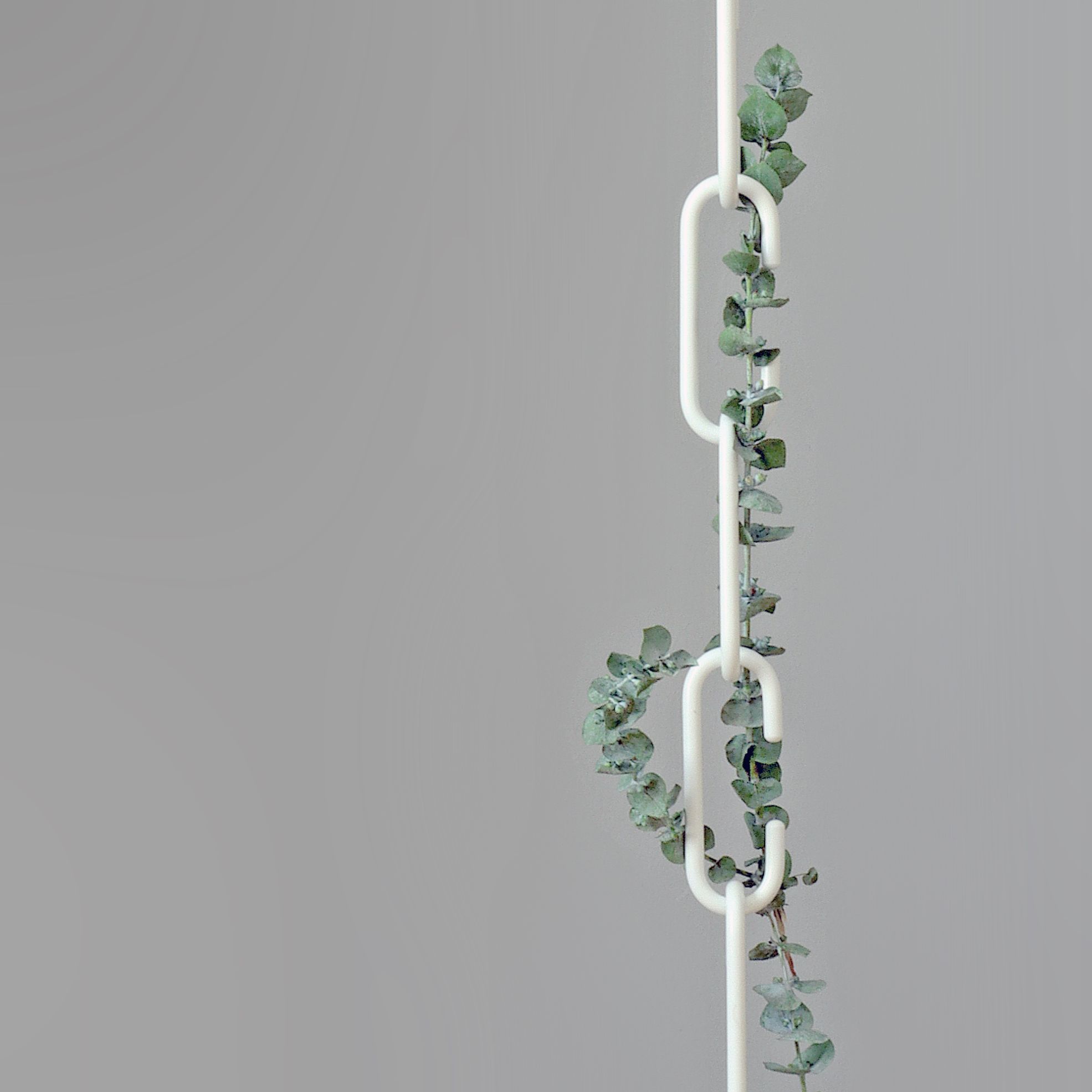 Weißer C+C Haken von Roomsafari mit Eukalyptus-Girlande, moderne Wanddekoration und Garderobenhaken.