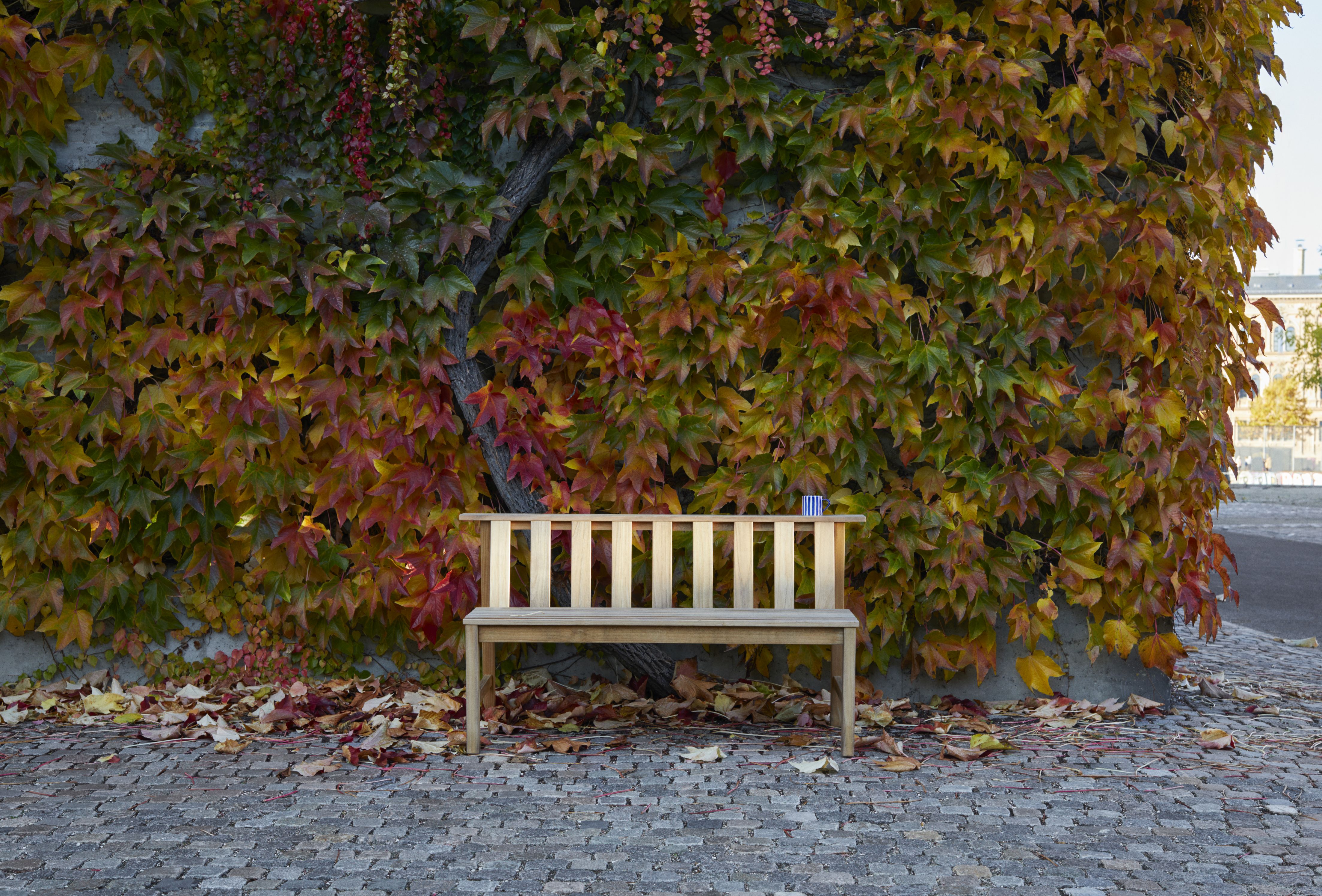 Cadence Bank Teakholz Gartenbank von Skagerak by Fritz Hansen vor einer Wand mit Herbstlaub.