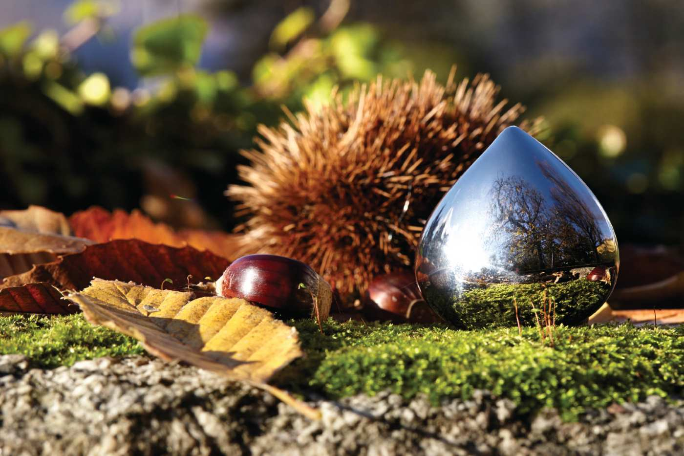 Nahaufnahme der CHB01 Chestnut Pillendose von Alessi, Edelstahl, neben Kastanien und Blättern.