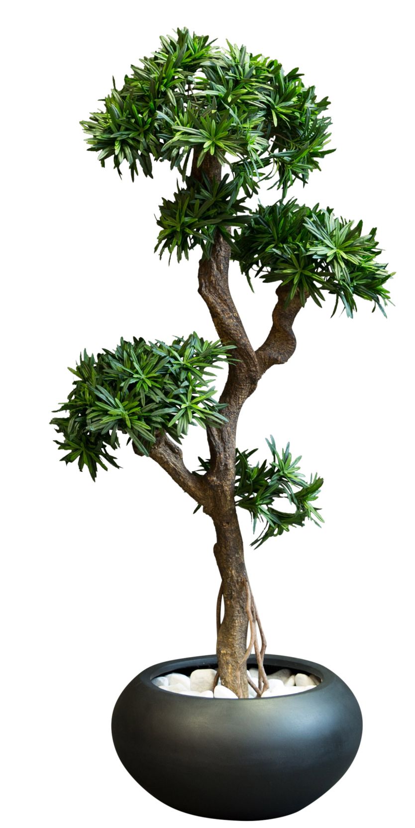 Kyoto Podocarpus Kunstpflanze: Detailaufnahme des Bonsai-Baums mit grünen Blättern in schwarzem Topf.