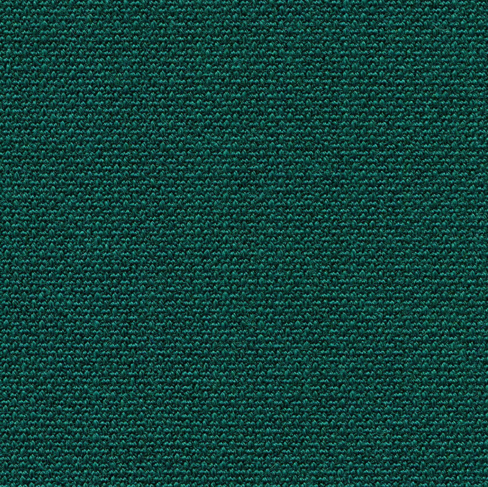 Blauw-groene vlucht