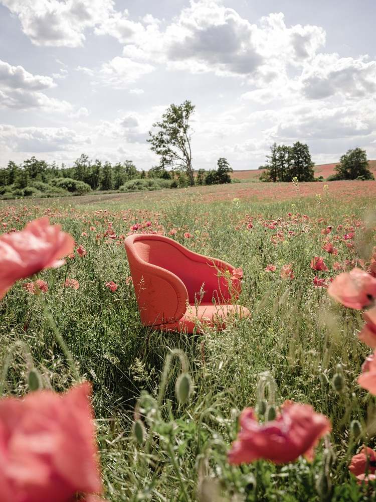 Ona Armlehnstuhl von Freifrau Manufaktur in leuchtendem Rot steht inmitten einer blühenden Mohnblumenwiese.