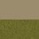 Beige-groen