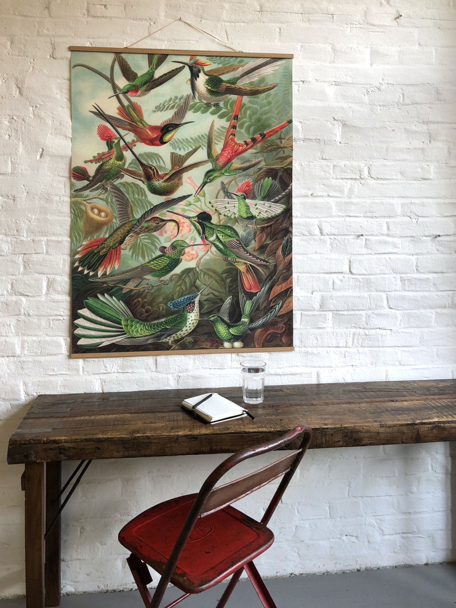 Animals Poster No 126: Vintage Wandbild mit Kolibris in Grün- und Rottönen, dekoratives Einzelstück für Wohnraum.