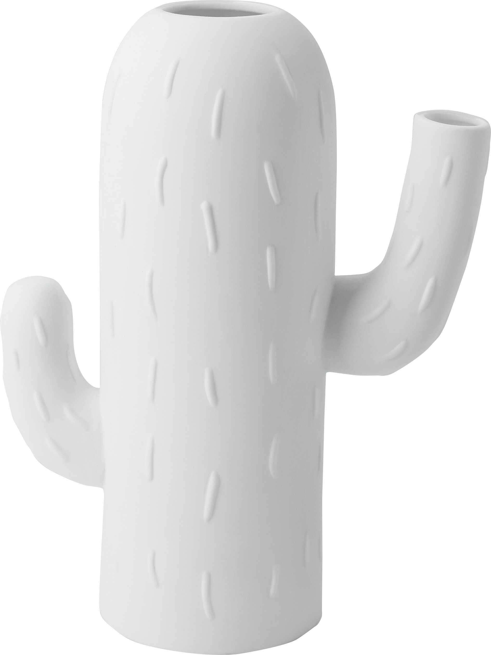 Cactusvaas met zuilcactus en Räder
