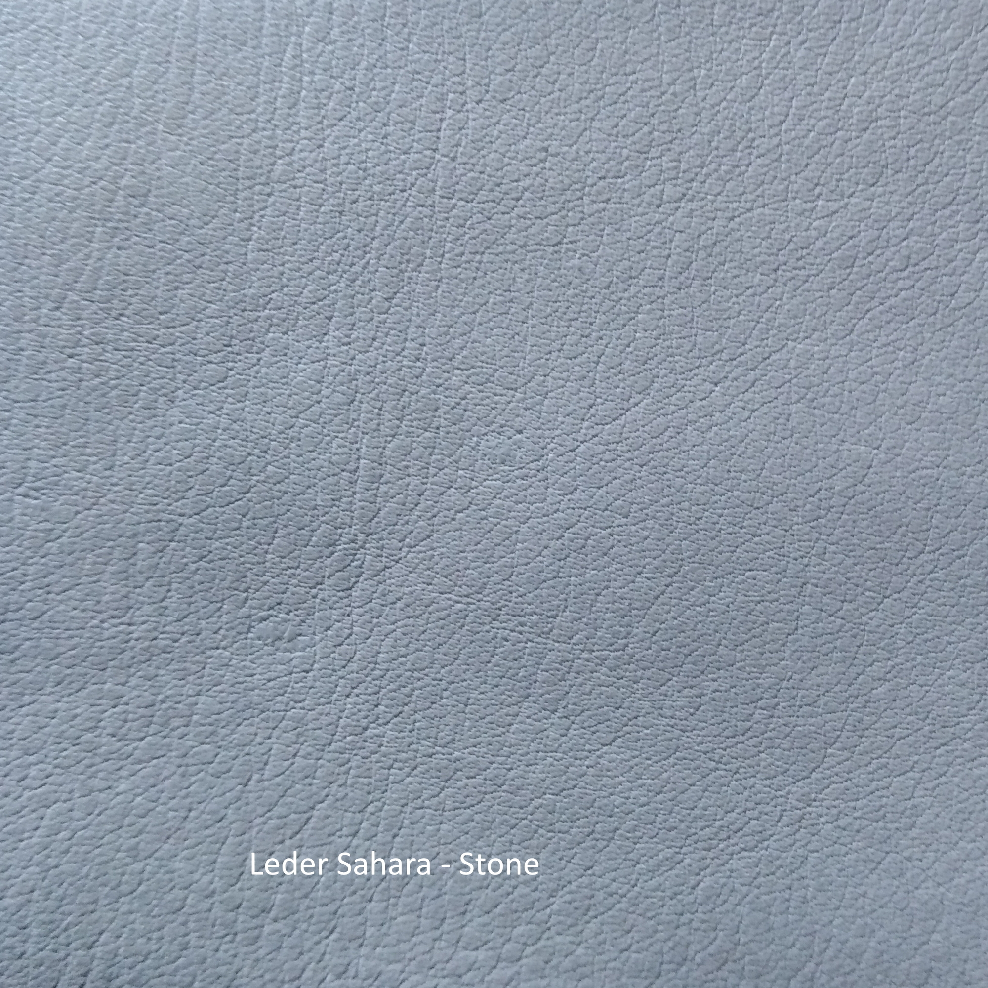 Nahaufnahme der Ledermusterkarte Sahara von Freifrau Manufaktur in hellgrauer Farbe. Hochwertiges Möbelleder.