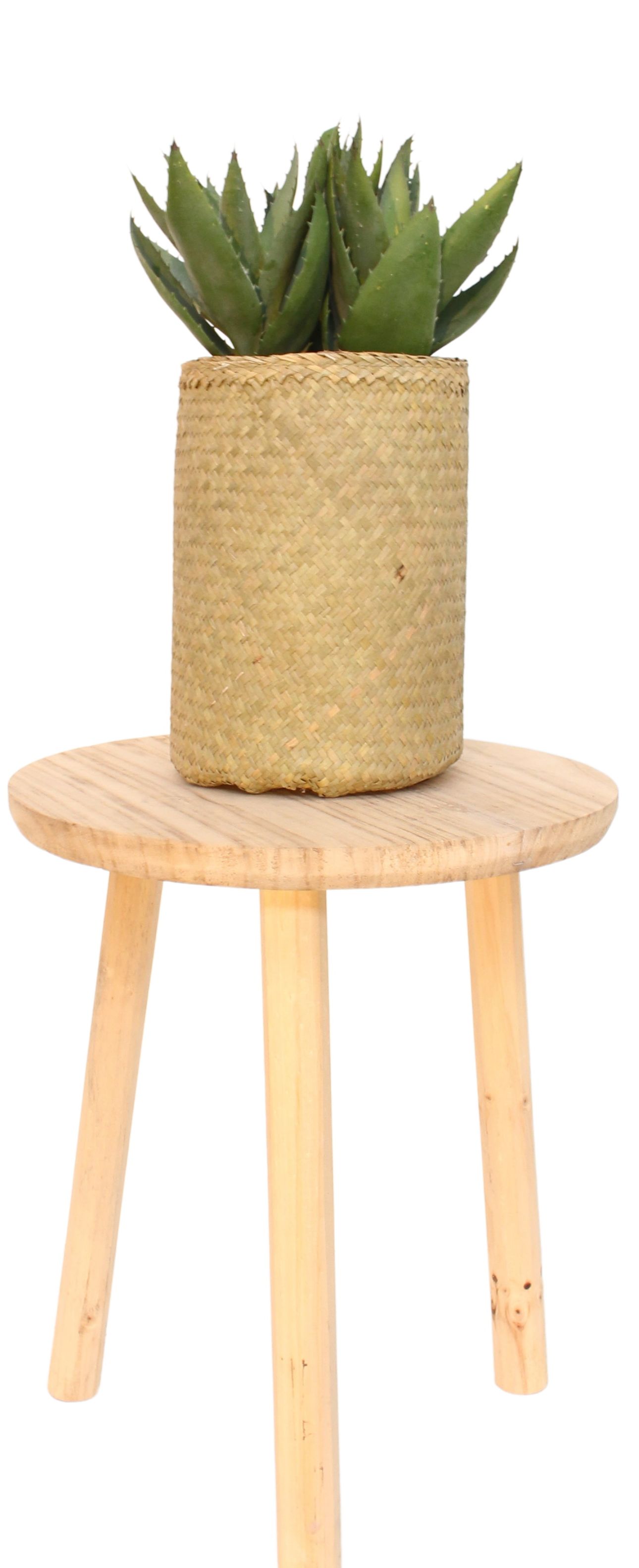 Nairobie Aloe Kunstpflanze im Korb auf kleinem Holztisch, dekorative Zimmerpflanze für Zuhause.