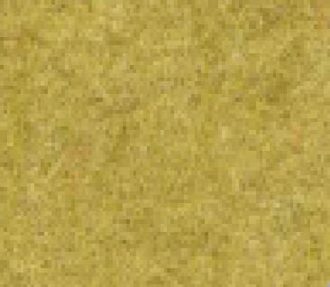 mosterd