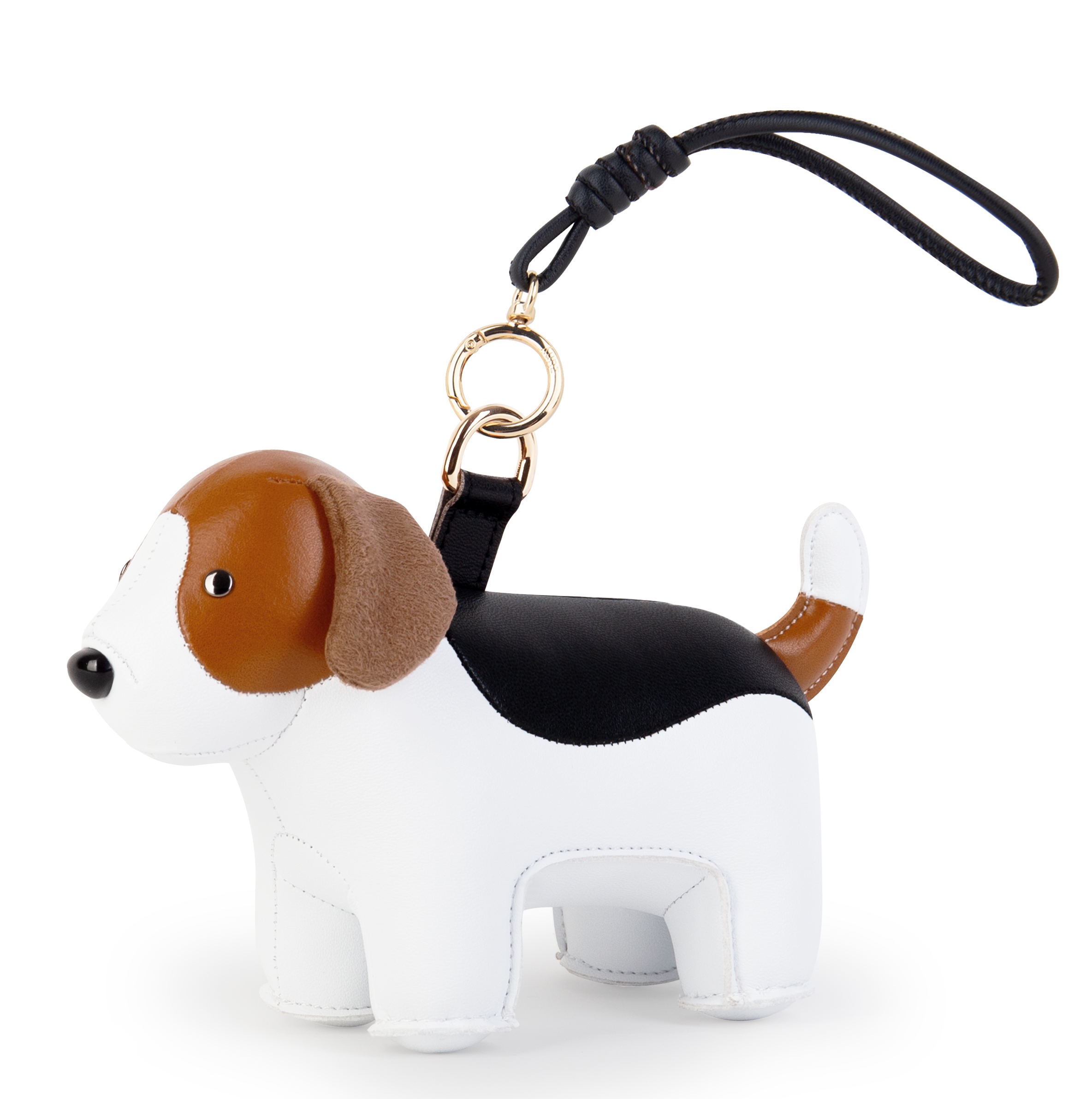 Tashanger Tashanger Beagle Züny