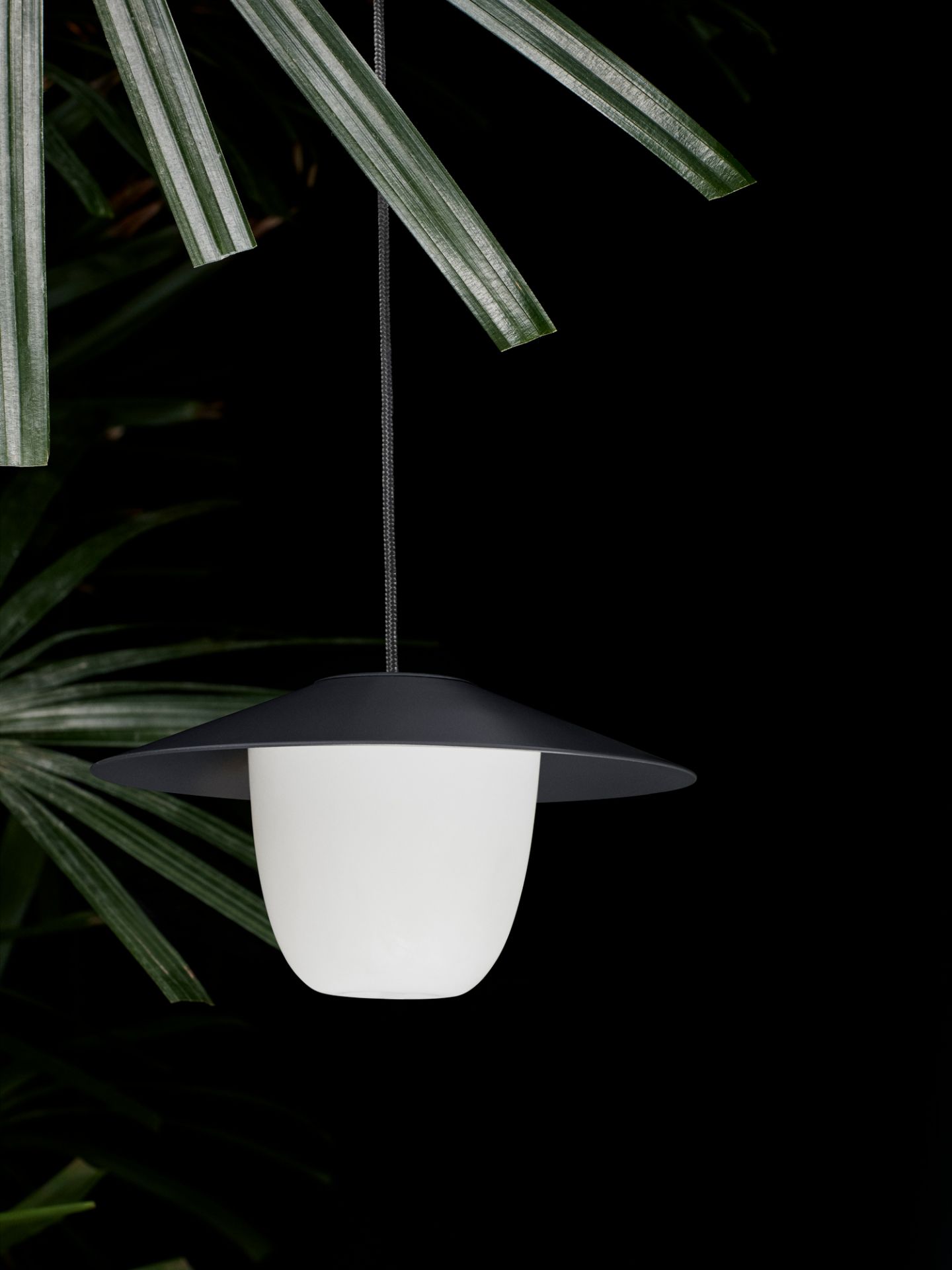 Ani Mobile LED Tischleuchte von Blomus, weiße Lampe mit schwarzem Schirm, hängend vor Pflanzen.