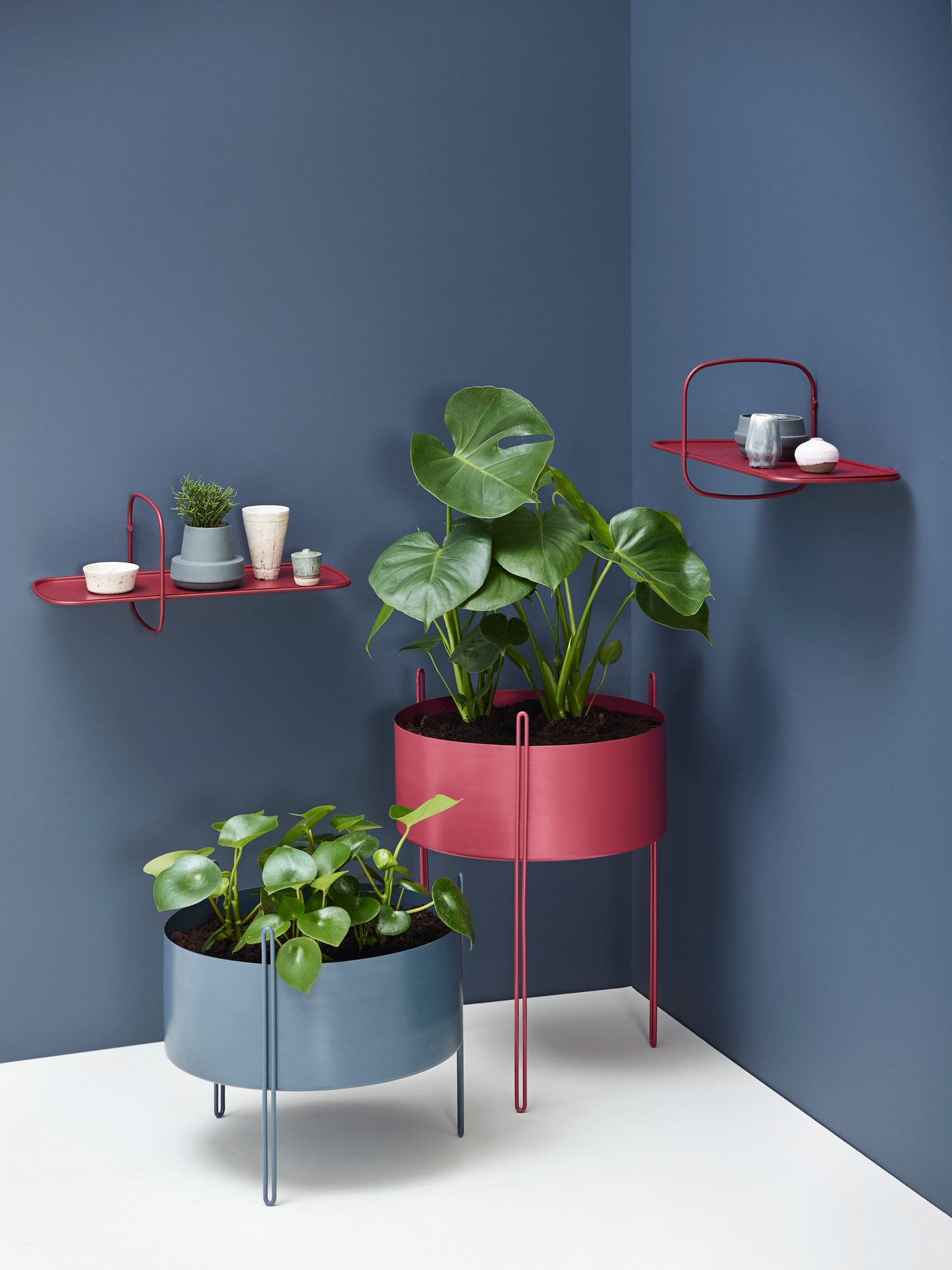 Zwei Pidestall Pflanzgefäße von Woud in Taupe und Rot mit Zimmerpflanzen vor blauer Wand.