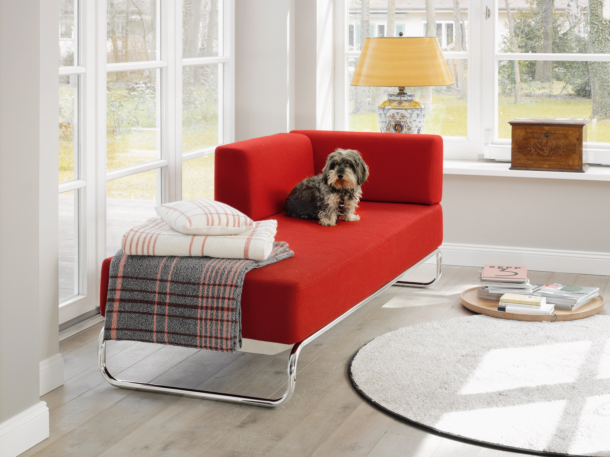 Thonet S 5100 Polsterteil niedrig in Rot mit Hund, Decken und Kissen vor Fenster.