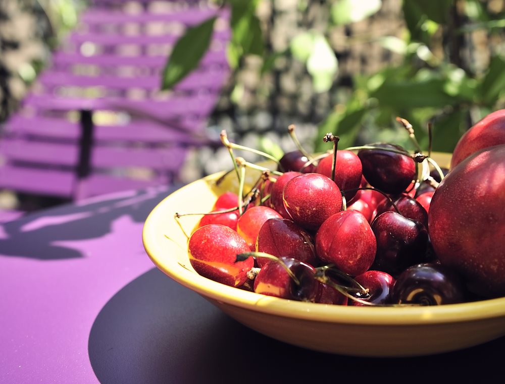 Nahaufnahme: Kirschen in Schale auf lila Fermob Bistro Klapptisch, ideal für Garten und Balkon.