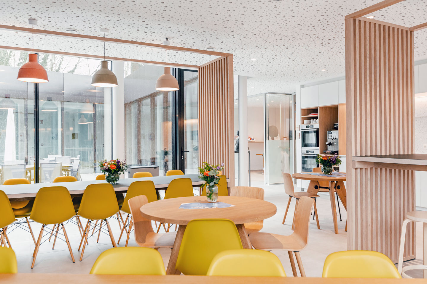 Gelbe Eames DSW Stühle mit Sitzpolster von Vitra in modernem Büro mit Holzelementen.