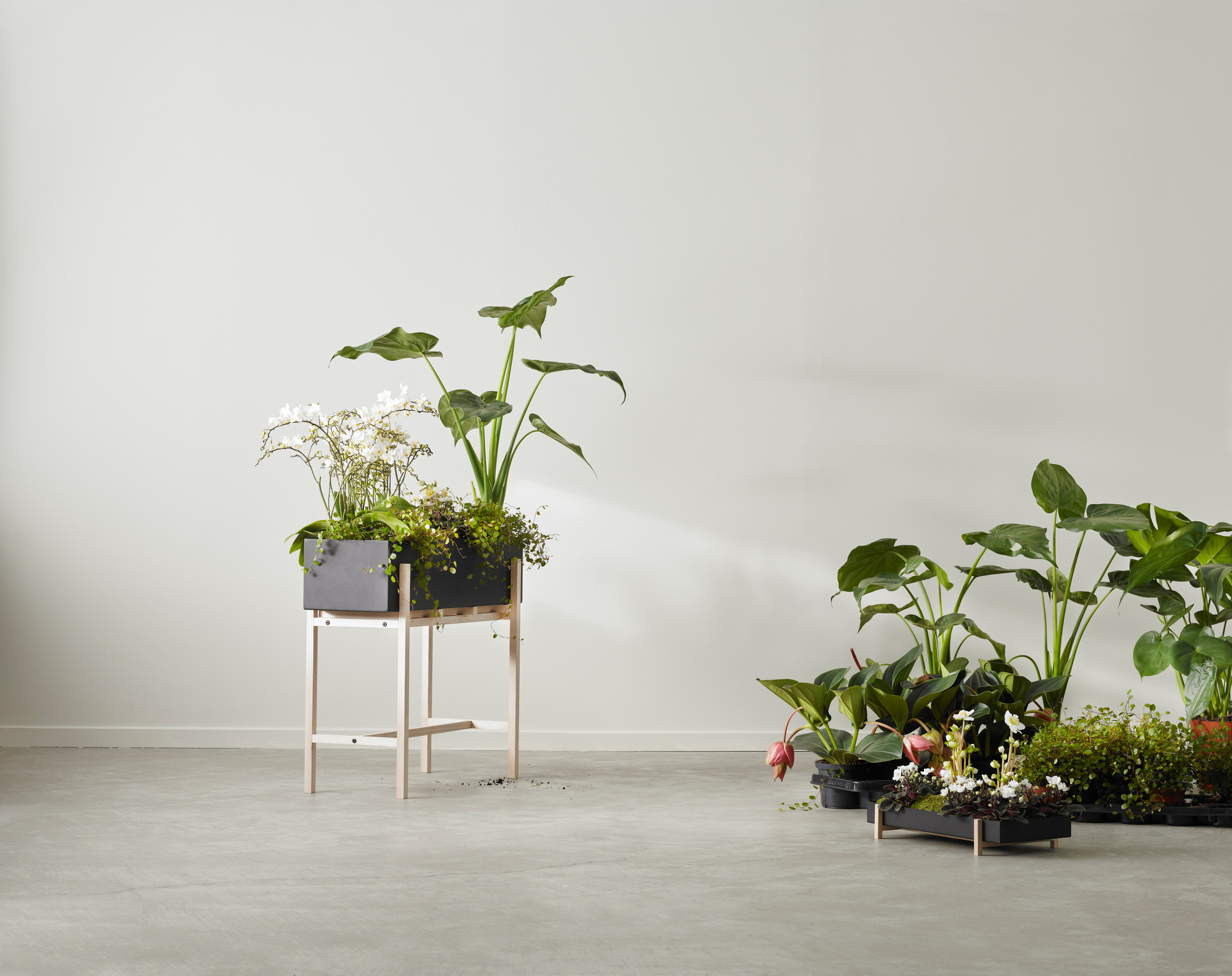 Botanic Flower Stand Blumenkasten von Design House Stockholm mit Pflanzen und Blumen in modernem Interieur.