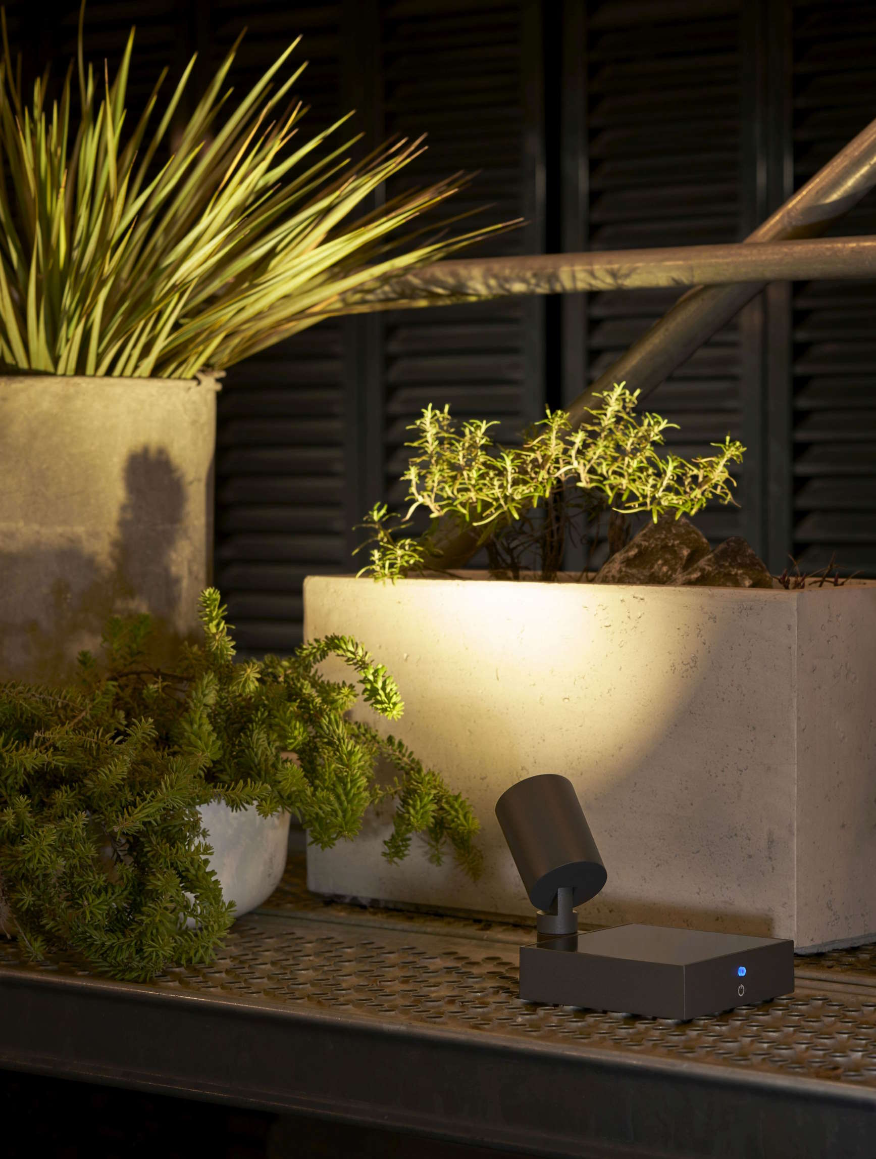 Nahaufnahme einer modernen, schwarzen LED-Gartenleuchte, die Pflanzen in Betonkübeln beleuchtet. Außenbeleuchtung für Garten und Terrasse.
