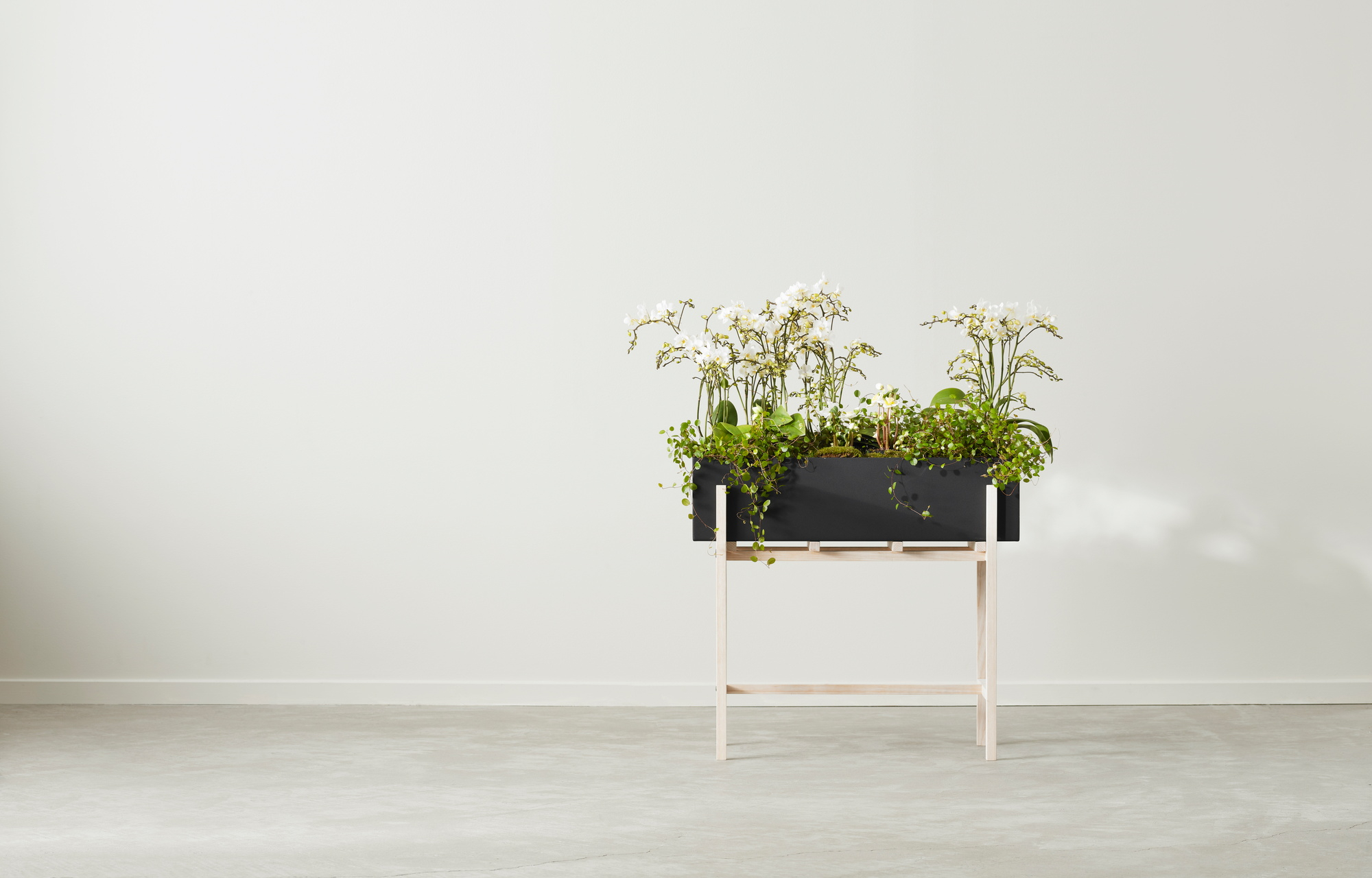 Botanic Flower Stand Blumenkasten von Design House Stockholm mit weißen Orchideen und grünen Pflanzen.